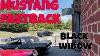 Mustang Fastback Black Widow